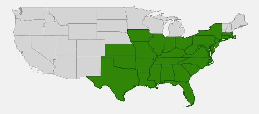 Native range map of Post Oak (Quercus stellata) showing distribution across south-central and southeastern United States