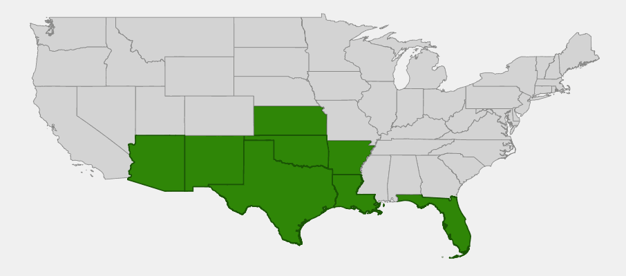 Native range map of Prairie Acacia (Acacia angustissima) across the south-central United States