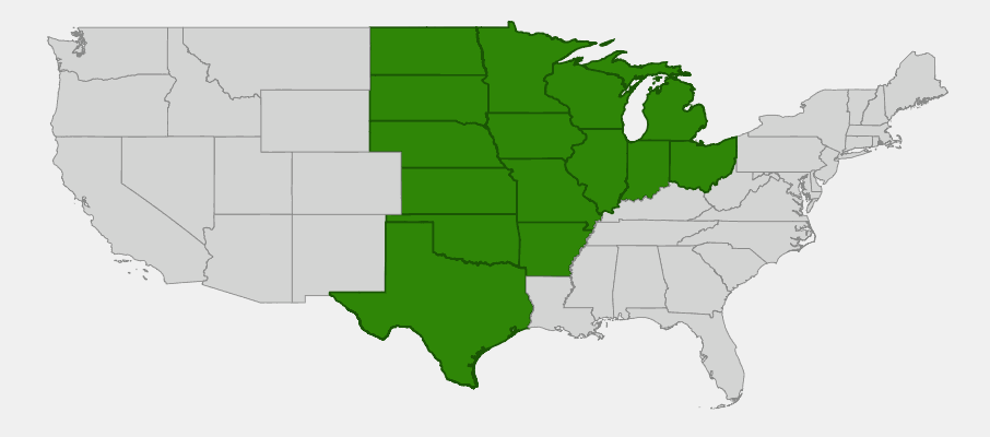 Native range map of Prairie Onion (Allium stellatum) showing distribution across central United States