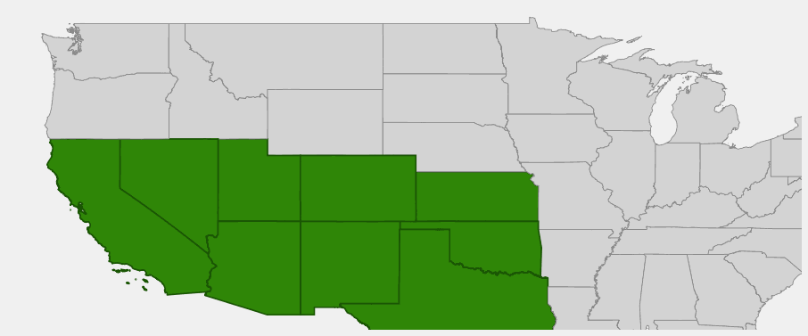 Native range map of Honey Mesquite (Prosopis glandulosa) showing distribution across southwestern and south-central US