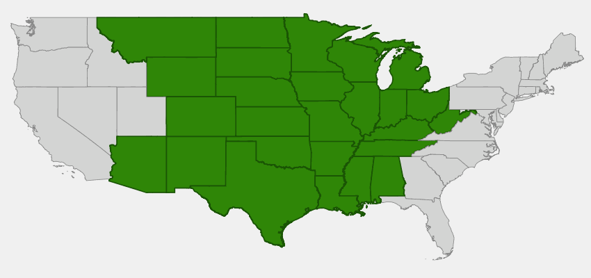 Purple Prairie Clover Native Range Map