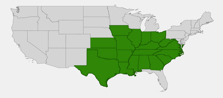 Native range map of Purple Coneflower (Echinacea purpurea) showing distribution across eastern North America