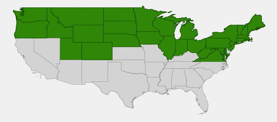 Native range map of Pussy Willow (Salix discolor) showing distribution across northern United States and southern Canada