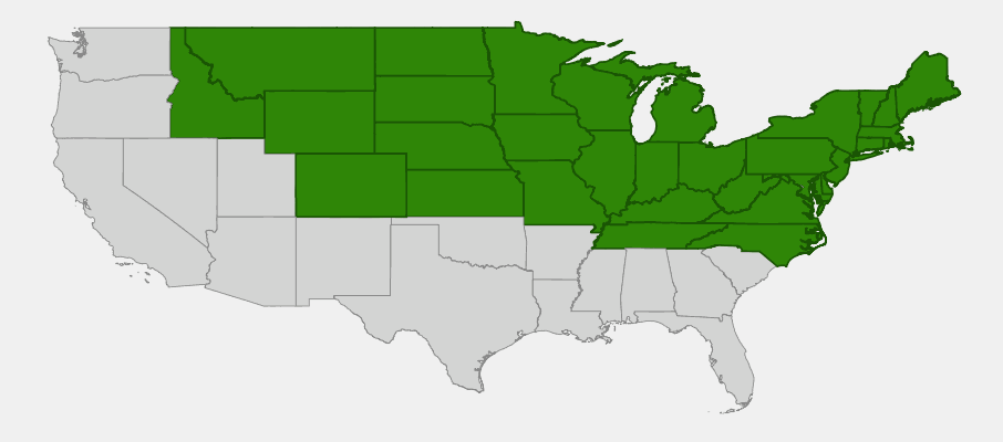 Native range map of Pussy Willow (Salix discolor)