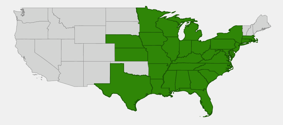 Native range map of Rattlesnake Master (Eryngium yuccifolium) in eastern and central North America