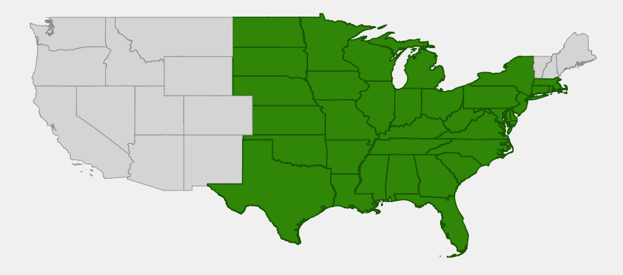 Native range map of Red Mulberry (Morus rubra) showing distribution across eastern and central United States