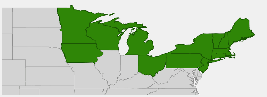Native range map of Red Pine (Pinus resinosa) across northeastern United States