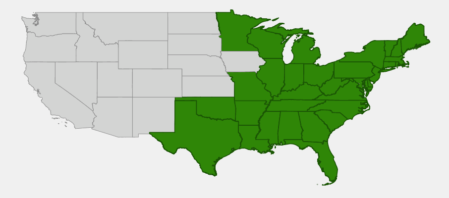 Native range map of Red Maple (Acer rubrum) showing vast distribution across eastern North America