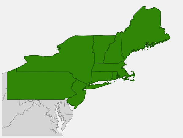 Native range map of Rhodora (Rhododendron canadense) showing distribution across northeastern United States and Canada