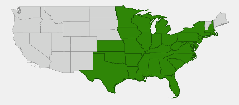 Native range map of River Birch (Betula nigra)