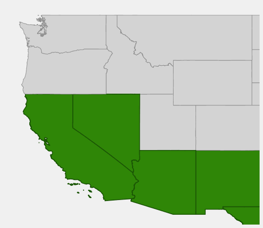 Native range map of Rock Hibiscus (Hibiscus denudatus) showing distribution across Arizona, New Mexico, Texas, California, and Nevada