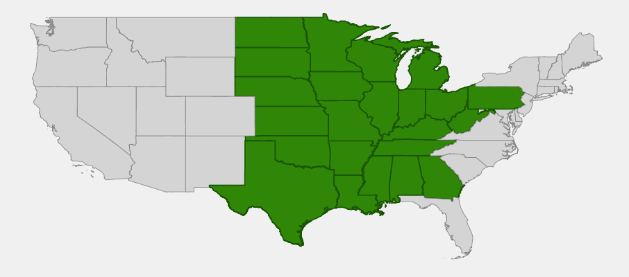 Native range map of Rosinweed (Silphium integrifolium) showing distribution across central and eastern United States