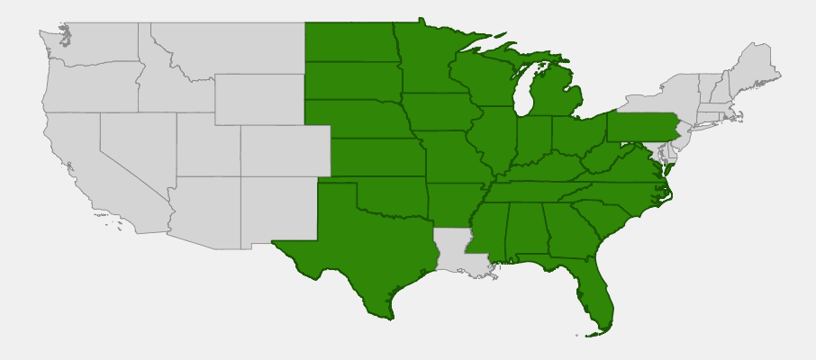 Native range map of Rough Blazing Star (Liatris aspera) showing distribution across central and eastern North America