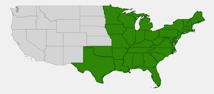 Native range map of Rough-leaved Goldenrod (Solidago rugosa)