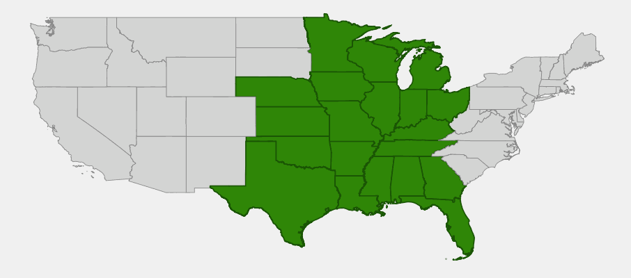 Native range map of Rough-leaved Dogwood (Cornus drummondii) showing distribution across central and eastern US