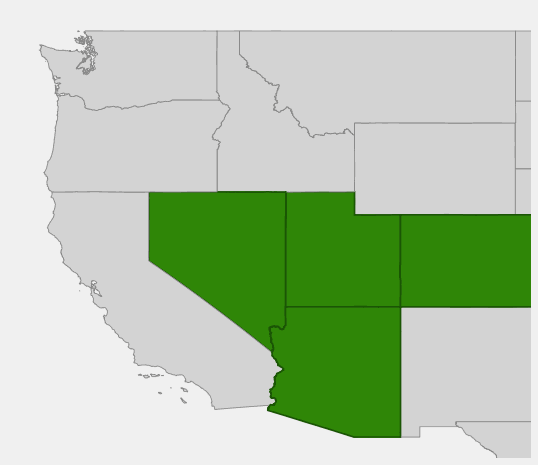 Native range map of Roundleaf Buffaloberry (Shepherdia rotundifolia) showing distribution across Utah, Arizona, Colorado, and Nevada