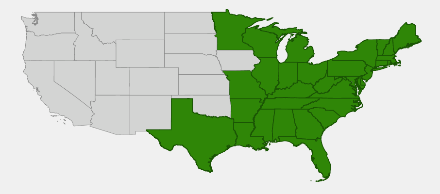 Native range map of Royal Fern (Osmunda regalis) showing distribution across eastern and central North America