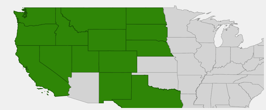 Native range map of Rubber Rabbitbrush (Ericameria nauseosa) across western North America