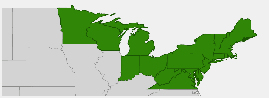 Native range map of Running Serviceberry (Amelanchier stolonifera) showing distribution in northeastern US