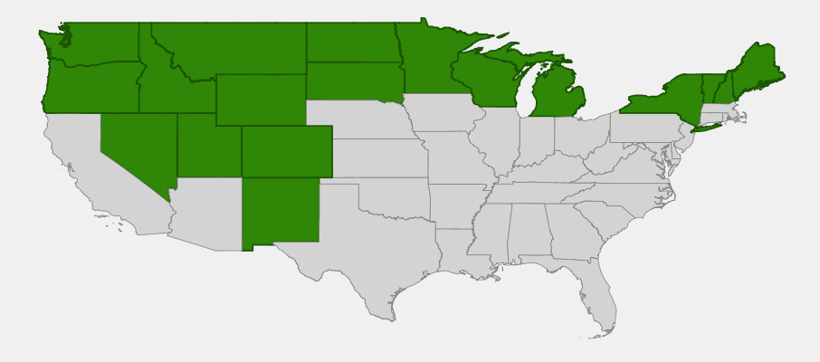 Native range map of Russet Buffaloberry (Shepherdia canadensis) across North America