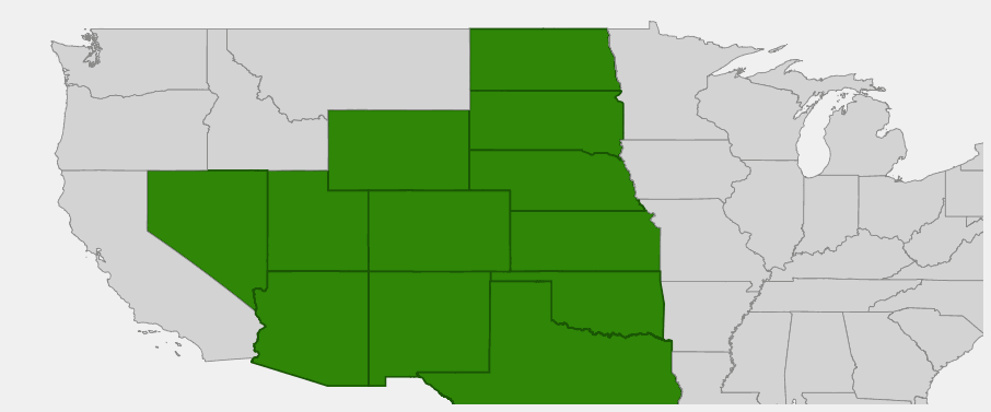 Native range map of Sand Sagebrush (Artemisia filifolia) showing distribution across the desert Southwest and Great Plains