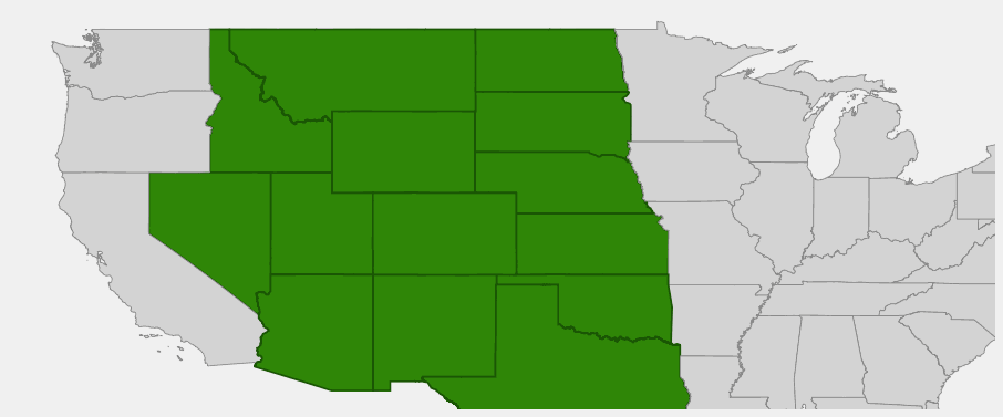 Native range map of Scarlet Globemallow (Sphaeralcea coccinea)