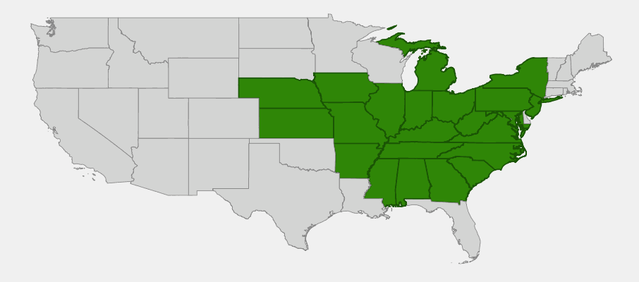 Native range map of Shellbark Hickory (Carya laciniosa)