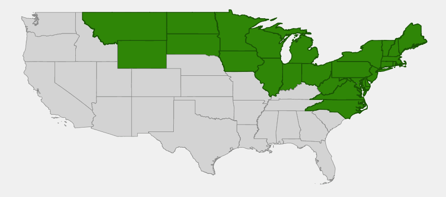 Native range map of Shining Willow (Salix lucida) in northeastern North America