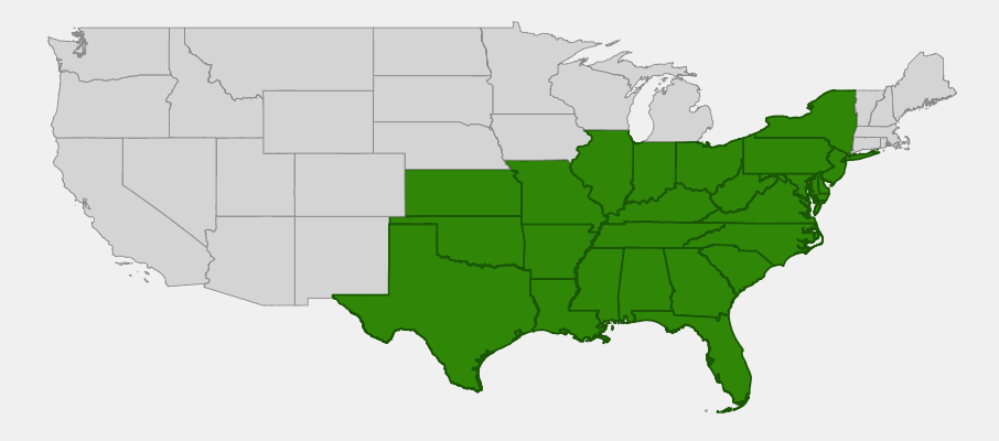 Native range map of Shortleaf Pine (Pinus echinata) showing distribution across eastern and central United States