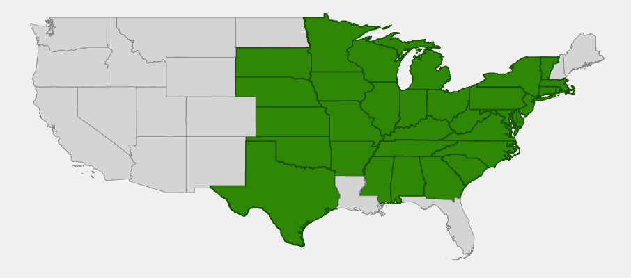 Native range map of Showy Goldenrod (Solidago speciosa) showing distribution across eastern and central US