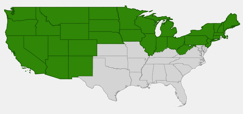 Shrubby Cinquefoil Native Range Map