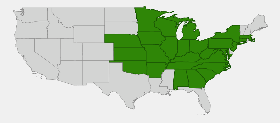 Native range map of Shrubby St. Johns Wort (Hypericum prolificum) showing distribution across eastern and central United States