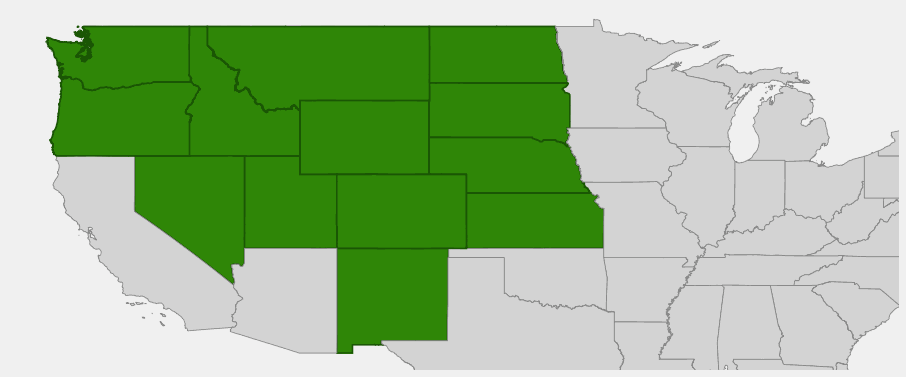 Native range map of Silver Sagebrush (Artemisia cana) showing distribution across western and central North America