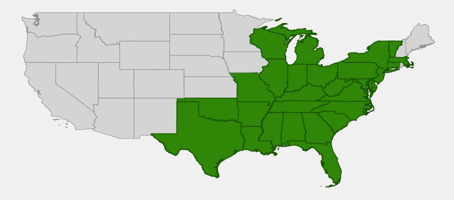 Native range map of Silverleaf Mountain Mint (Pycnanthemum incanum) across eastern United States