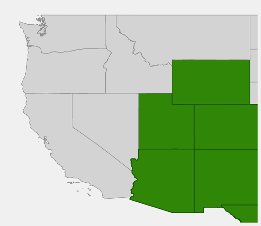 Native range map of Pinyon Pine (Pinus edulis) across the American Southwest