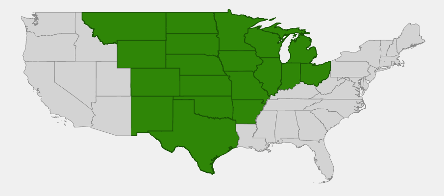 Native range map of Smooth Aster (Aster laevis) showing distribution across Great Plains and upper Midwest states