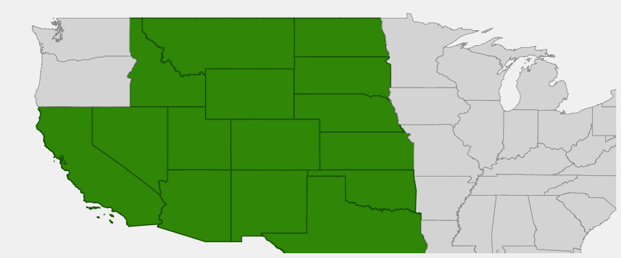Native range map of Snakeweed (Gutierrezia sarothrae)