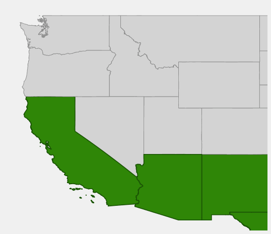 Native range map of Snapdragon-vine (Maurandya antirrhiniflora) showing distribution across Arizona, New Mexico, Texas, and California