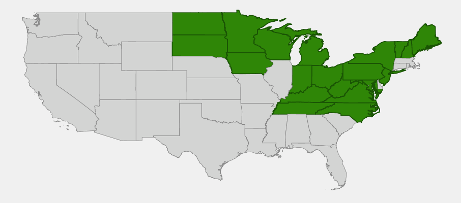 Native range map of American Mountainash (Sorbus americana) showing distribution across northeastern United States and Canada