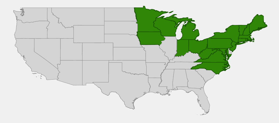 Native range map of Speckled Alder (Alnus rugosa) in northeastern North America