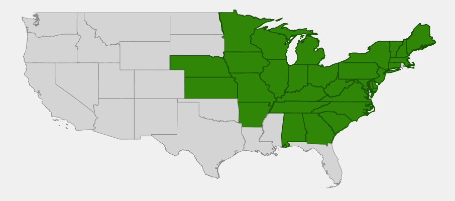 Native range map of Spikenard (Aralia racemosa) showing distribution across eastern and central United States