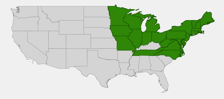 Native range map of Spinulose Wood Fern (Dryopteris carthusiana) showing northeastern and north-central US distribution