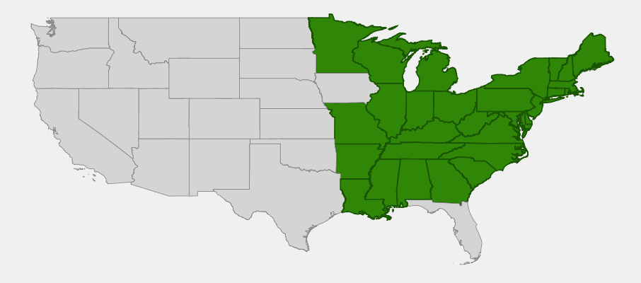 Native range map of Spring Beauty (Claytonia virginica) showing broad eastern US distribution