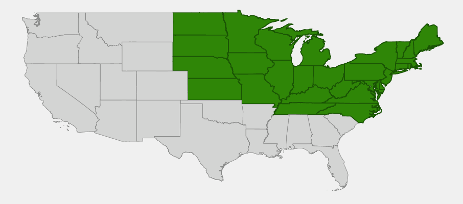 Native range map of Staghorn Sumac (Rhus typhina) showing eastern North American distribution
