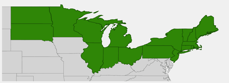 Native range map of Starflower (Trientalis borealis) showing northeastern US distribution