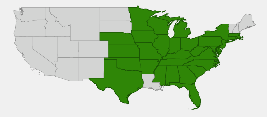 Native range map of Starry Campion (Silene stellata) showing distribution across eastern and central United States
