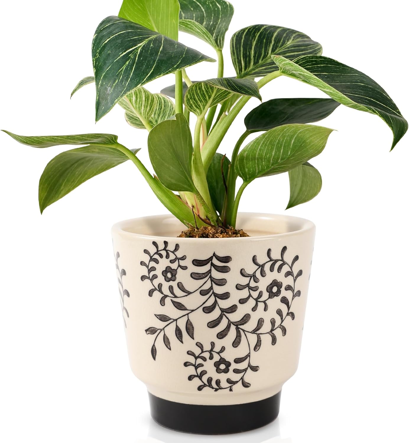 STHIE Indoor Ceramic Plant Pots with Drainage Holes 5 Inch