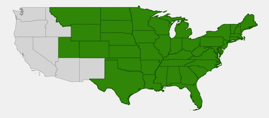 Native range map of Stiff Goldenrod (Solidago rigida)