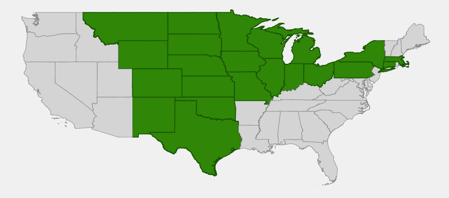 Native range map of Stiff Sunflower (Helianthus rigidus)