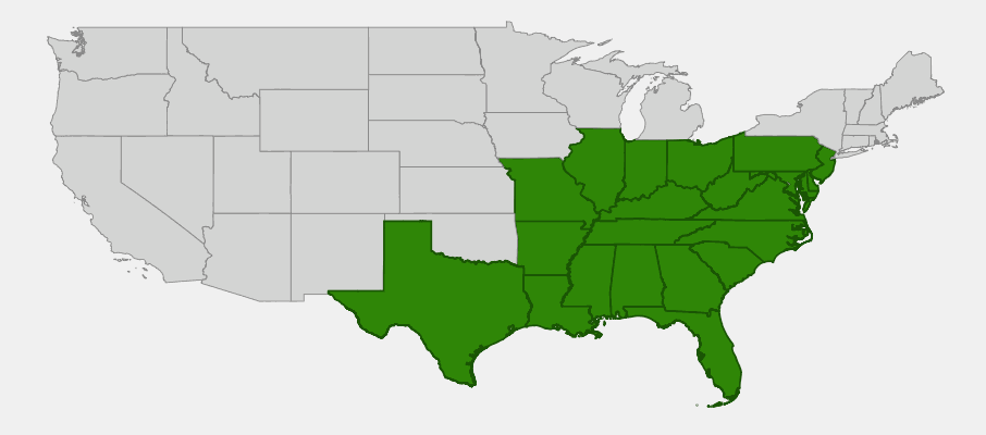 Native range map of Strawberry Bush (Euonymus americanus)